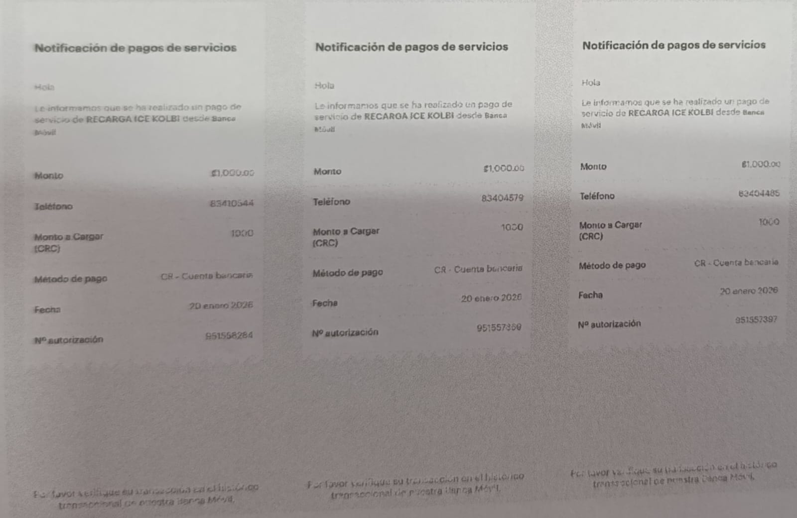 WhatsApp Image 2026-01-21 at 2.54.10 PM.jpeg