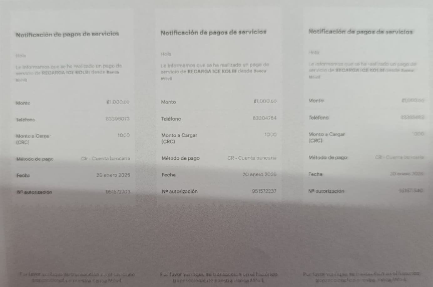 WhatsApp Image 2026-01-21 at 2.54.08 PM.jpeg