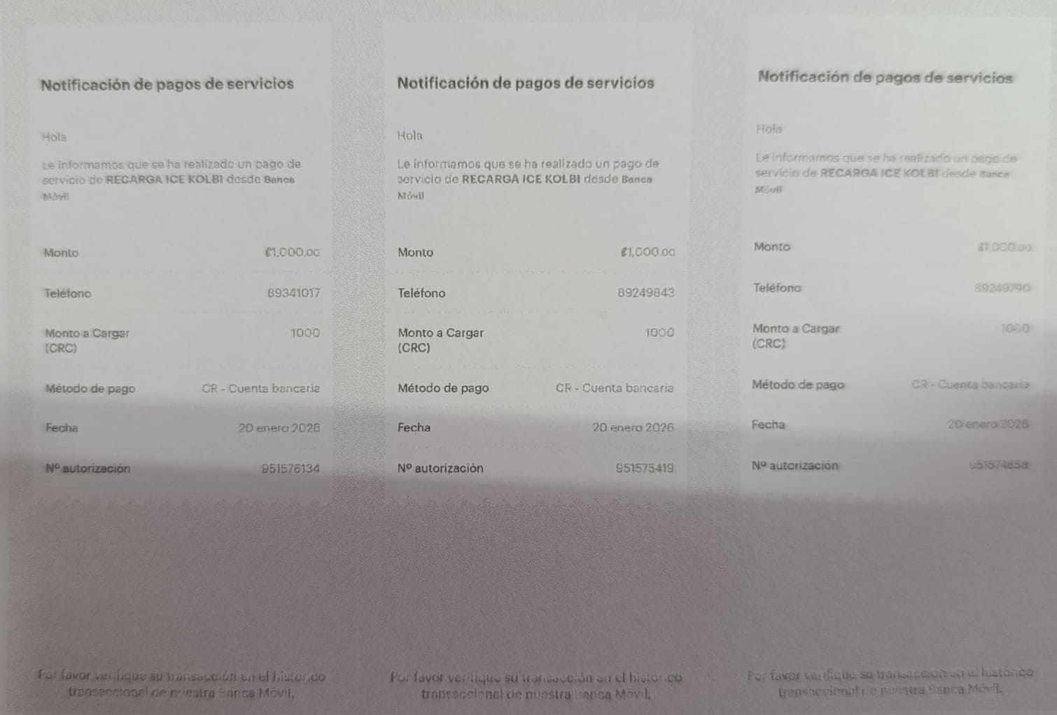 WhatsApp Image 2026-01-21 at 2.54.07 PM (1).jpeg