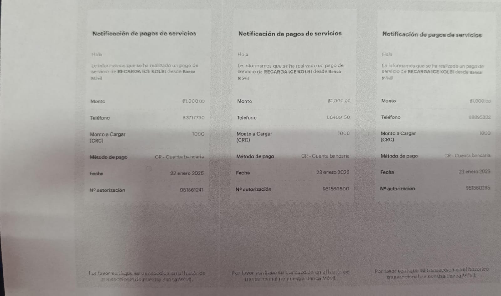 WhatsApp Image 2026-01-23 at 3.10.37 PM (2).jpeg