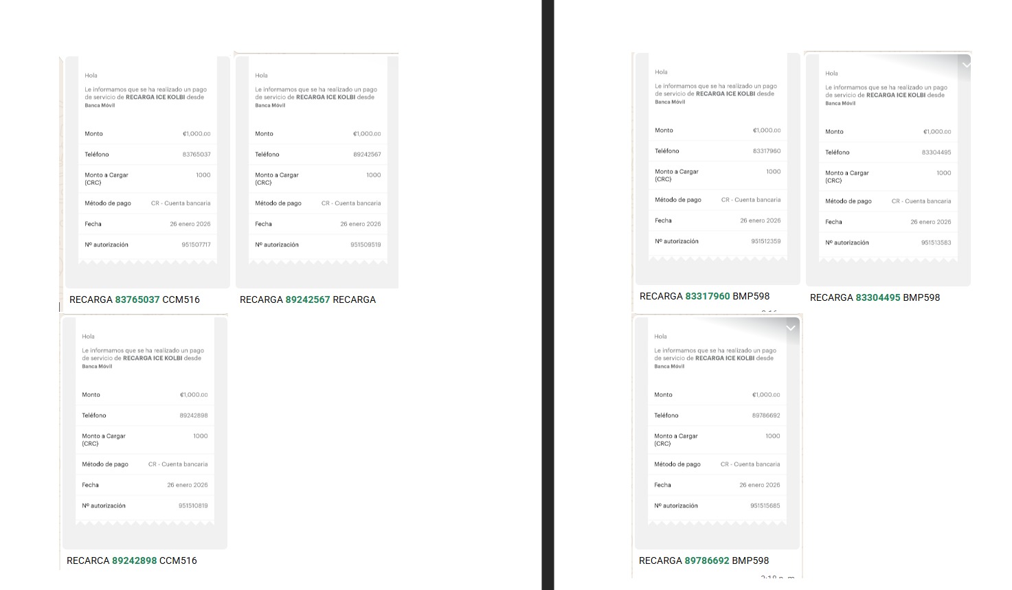 WhatsApp Image 2026-01-27 at 9.51.35 AM.jpeg