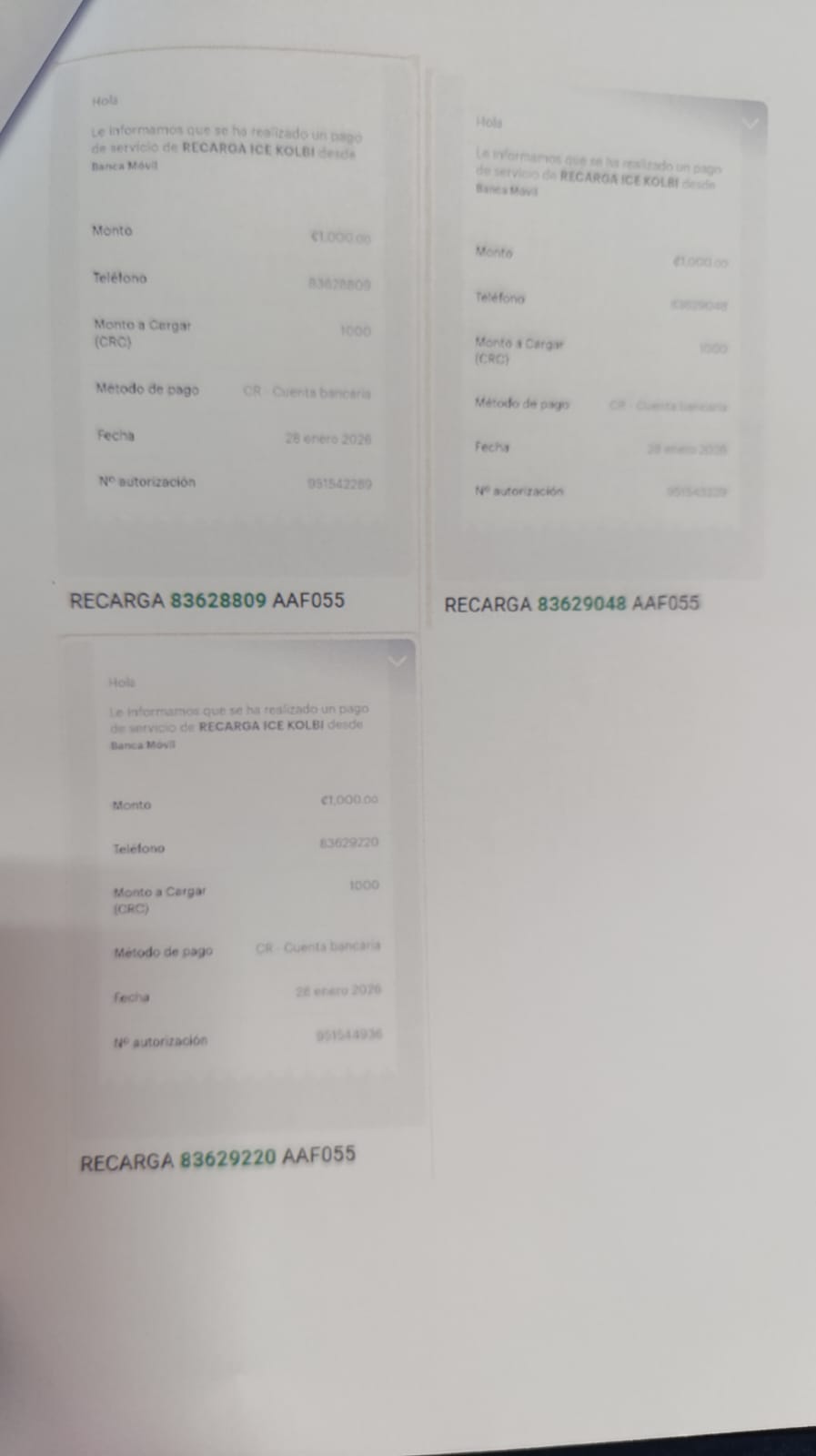 WhatsApp Image 2026-01-29 at 10.12.25 AM (1).jpeg