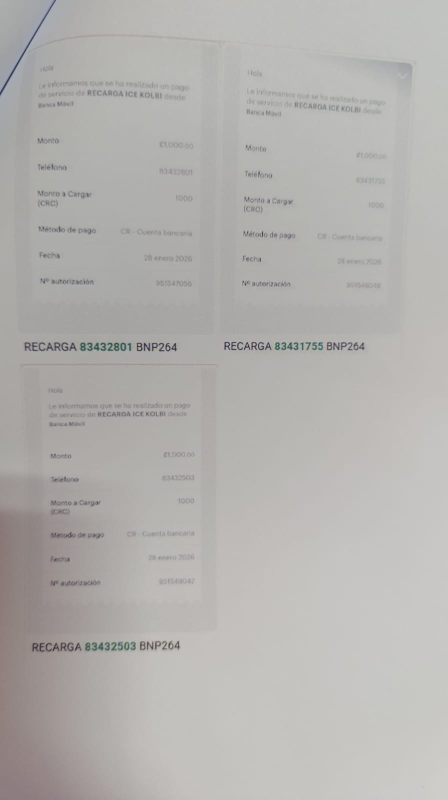 WhatsApp Image 2026-01-29 at 10.12.25 AM (2).jpeg