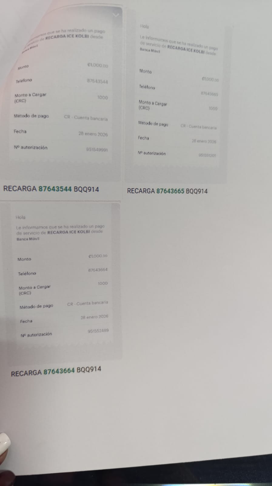 WhatsApp Image 2026-01-29 at 10.12.26 AM.jpeg