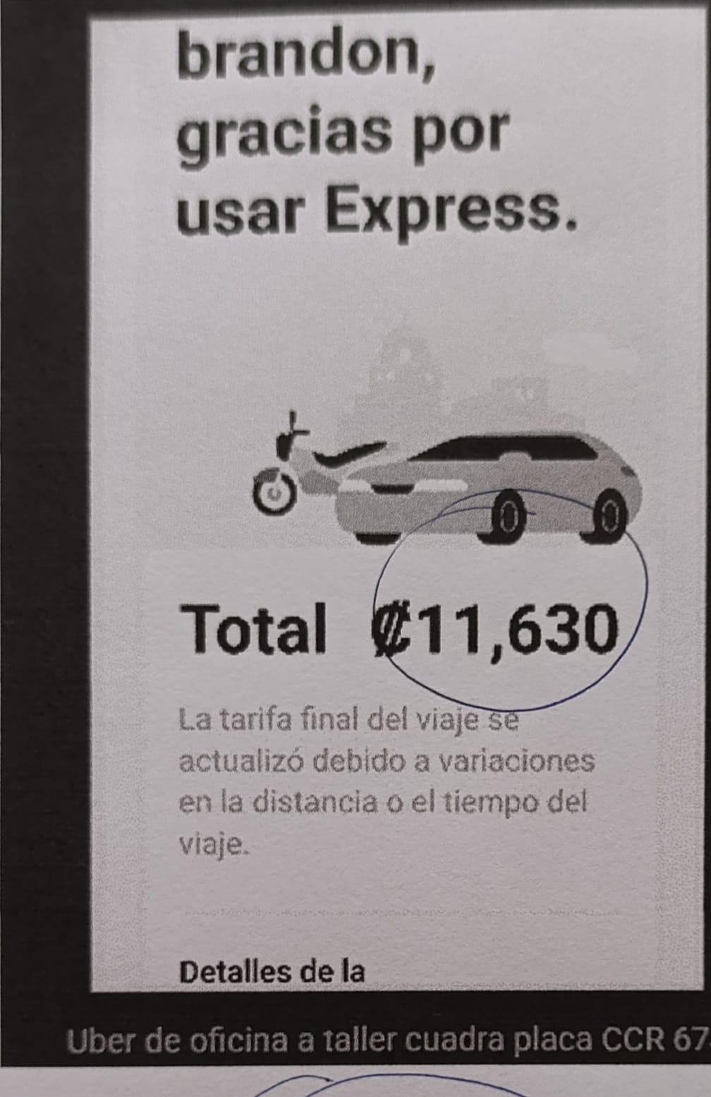 WhatsApp Image 2026-02-15 at 4.05.33 PM (4).jpeg