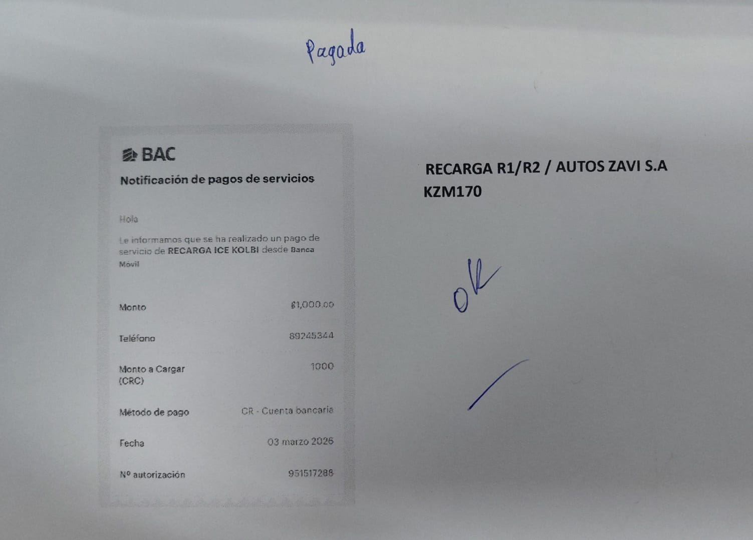 WhatsApp Image 2026-03-06 at 2.42.20 PM.jpeg