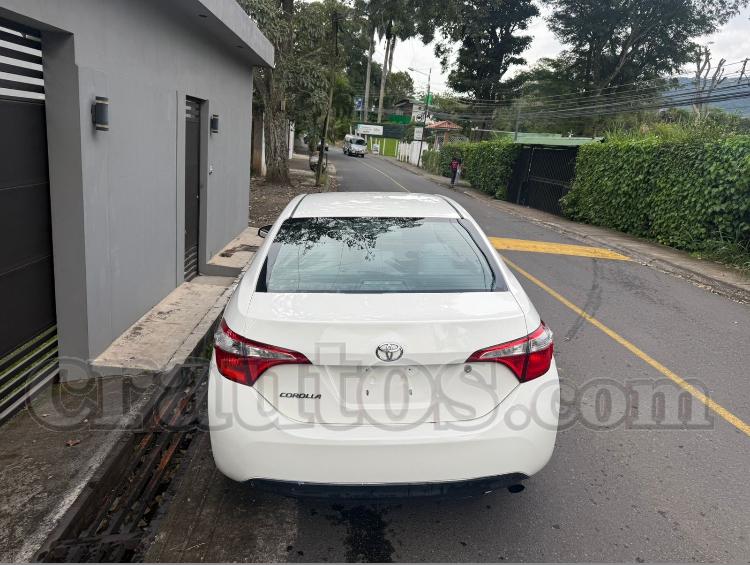 Toyota COROLLA SE